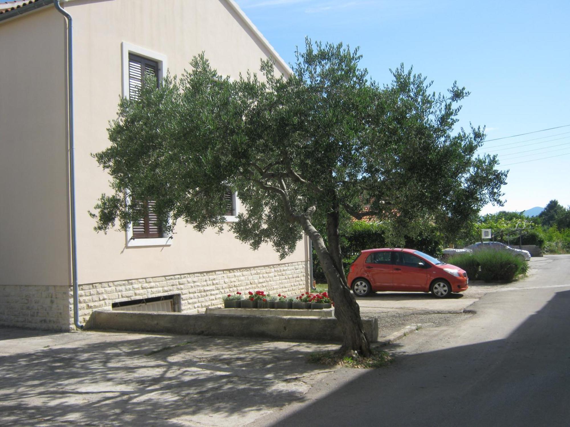 Apartments Blanka Zára Kültér fotó